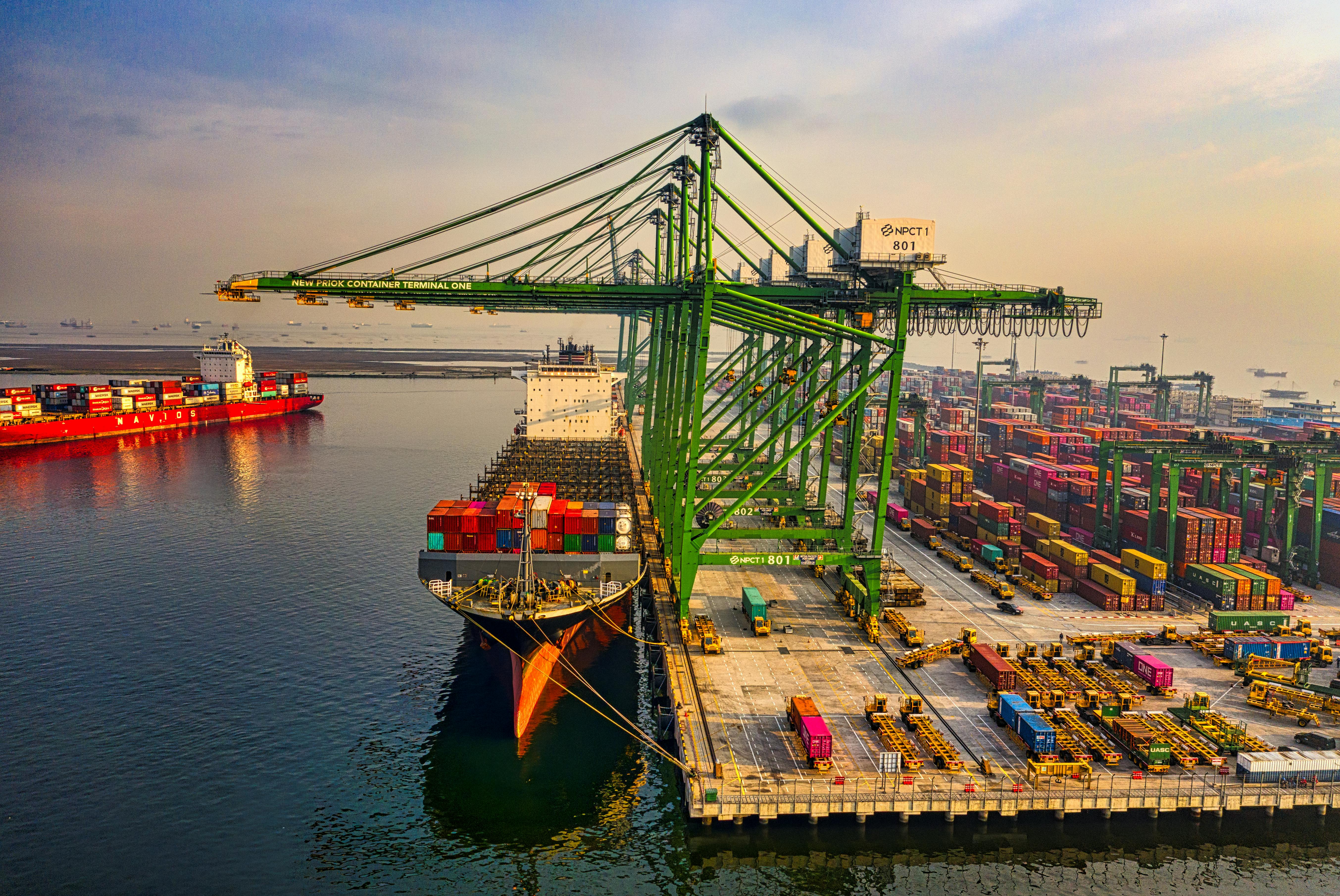 Signature Tech Import